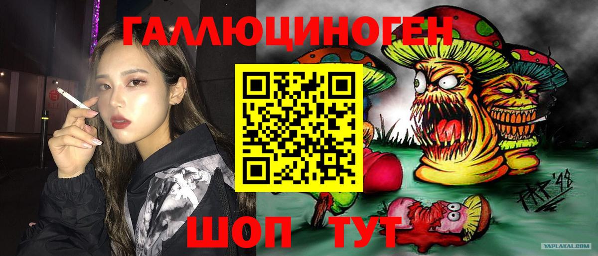 ГАШИШ Гай