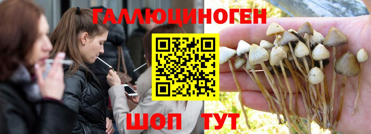 Галлюциногенные грибы ЛСД  Вход с VPN  закладки  Гай  Галлюциногенные грибы мицелий 